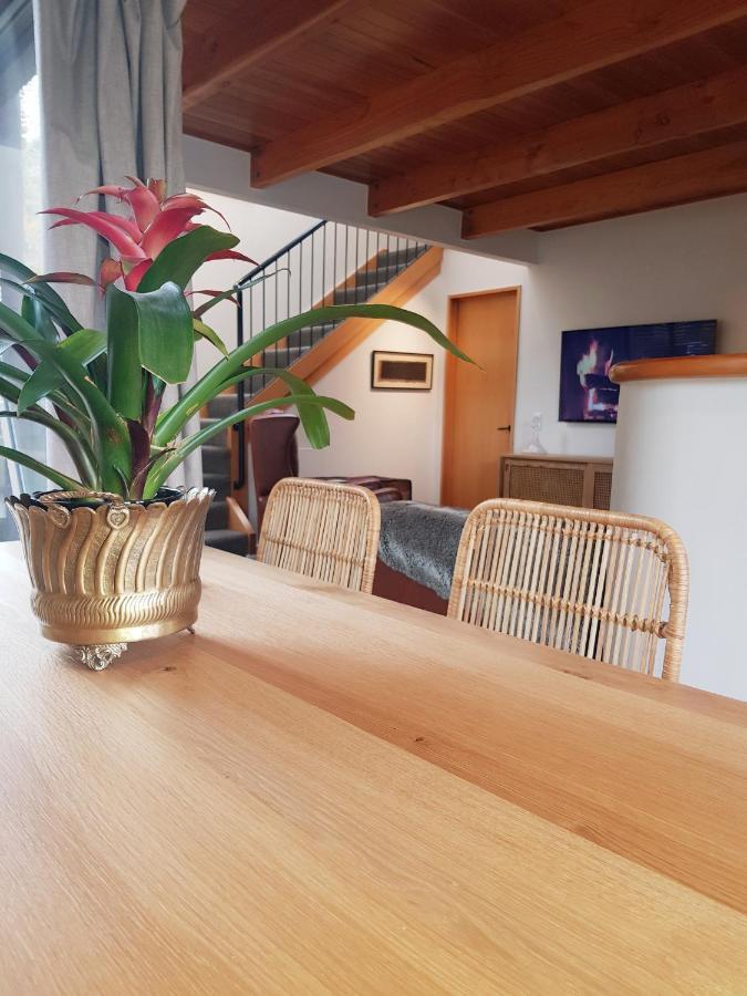 Villa 10 - Central Stylish Apartment كوينستاون المظهر الخارجي الصورة